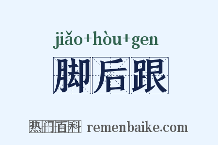 脚后跟是什么意思的图片